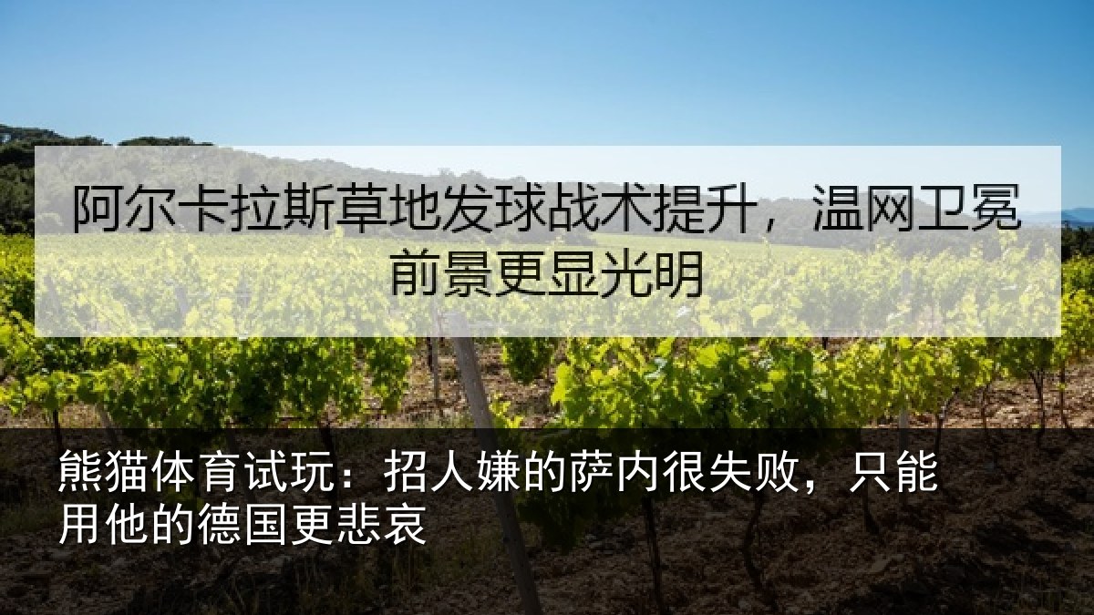 熊猫体育试玩：招人嫌的萨内很失败，只能用他的德国更悲哀