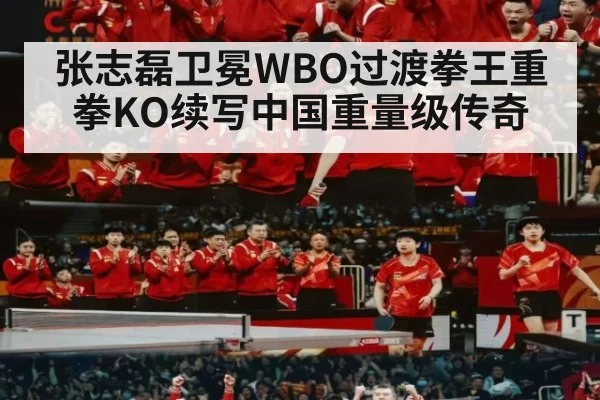 张志磊卫冕WBO过渡拳王重拳KO续写中国重量级传奇